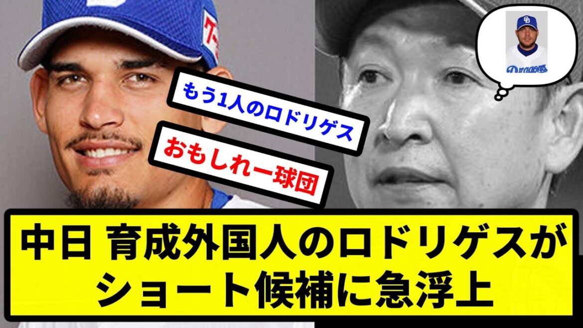 【ロドリゲス？？】中日ドラゴンズさん、育成外国人のロドリゲスがショート候補に急浮上【プロ野球反応集】【2chスレ】【1分動画】【5chスレ】