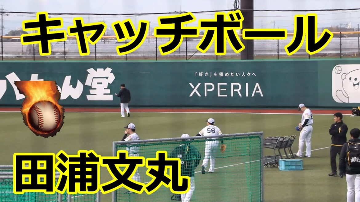 田浦文丸投手のキャッチボール！！2024福岡ソフトバンクホークス春季三軍キャンプ（筑後）！！