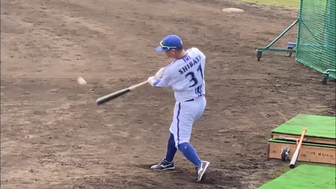 【柴田竜拓】約200球ロングティーバッティング練習 宜野湾キャンプ 横浜DeNAベイスターズ 2024年2月4日