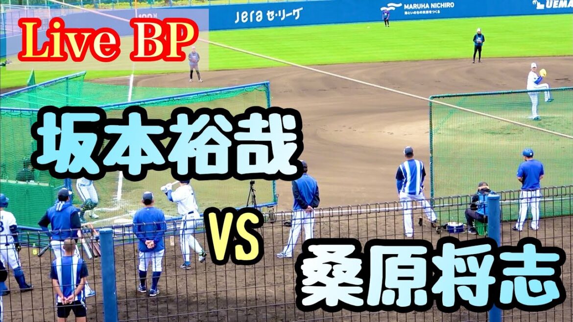 【Live BP】坂本裕哉 vs 桑原将志、佐野恵太、柴田竜拓、関根大気 横浜DeNAベイスターズ 2024/2/7
