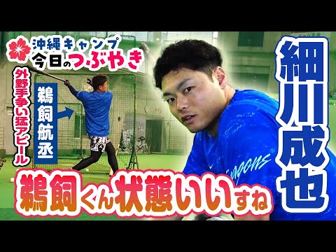 山本泰「温泉大好きです」細川「鵜飼くん、状態いいすね」【「今日のつぶやき」2/8(木)ドラゴンズ沖縄キャンプ】 山本泰「温泉大好きです」細川「鵜飼くん、状態いいすね」【「今日のつぶやき」2/8(木)ドラゴンズ沖縄キャンプ】