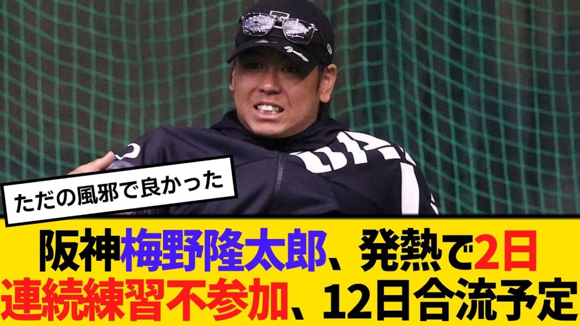 阪神・梅野隆太郎、発熱で2日連続練習不参加、12日合流予定　【2ch】【5ch】【反応】
