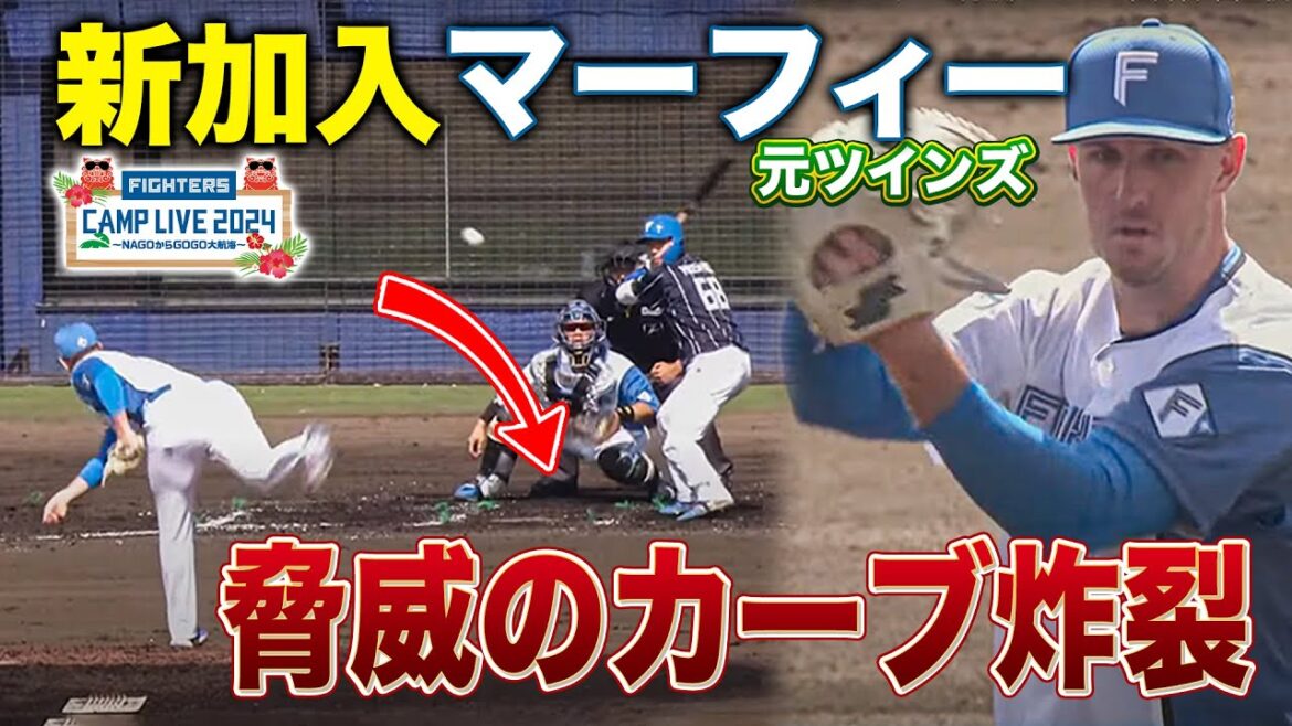 脅威のカーブ炸裂!新加入マーフィーvs万波中正&レイエス 紅白戦1回全投球<2/10ファイターズ春季キャンプ2024> 脅威のカーブ炸裂!新加入マーフィーvs万波中正&レイエス 紅白戦1回全投球<2/10ファイターズ春季キャンプ2024>
