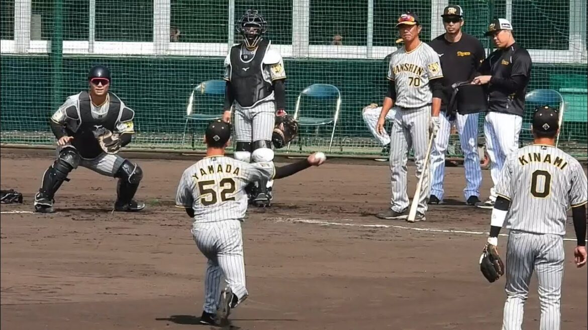 【守備比較】ドラ3・山田脩也が昨年GG賞の名手・木浪とシートノックで共演！【紅白戦】【阪神春季キャンプ】2024.2.11