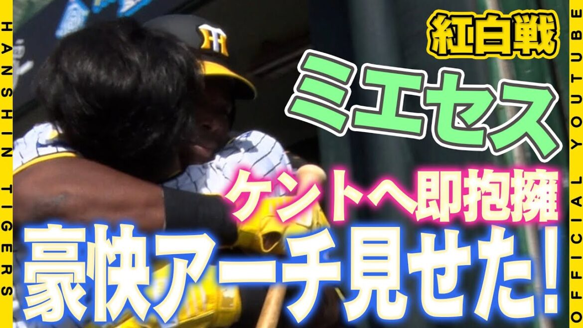 【感動の再会】#ミエセス 選手と#糸原健斗 選手が宜野座で再会！今季初実戦の2年連続合同紅白戦が行われました。#ミエセス選手は豪快アーチで糸原選手に即抱擁パフォーマンス！