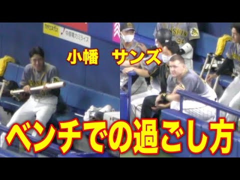 阪神タイガース小幡竜平とサンズ ベンチでの過ごし方 阪神タイガース小幡竜平とサンズ ベンチでの過ごし方