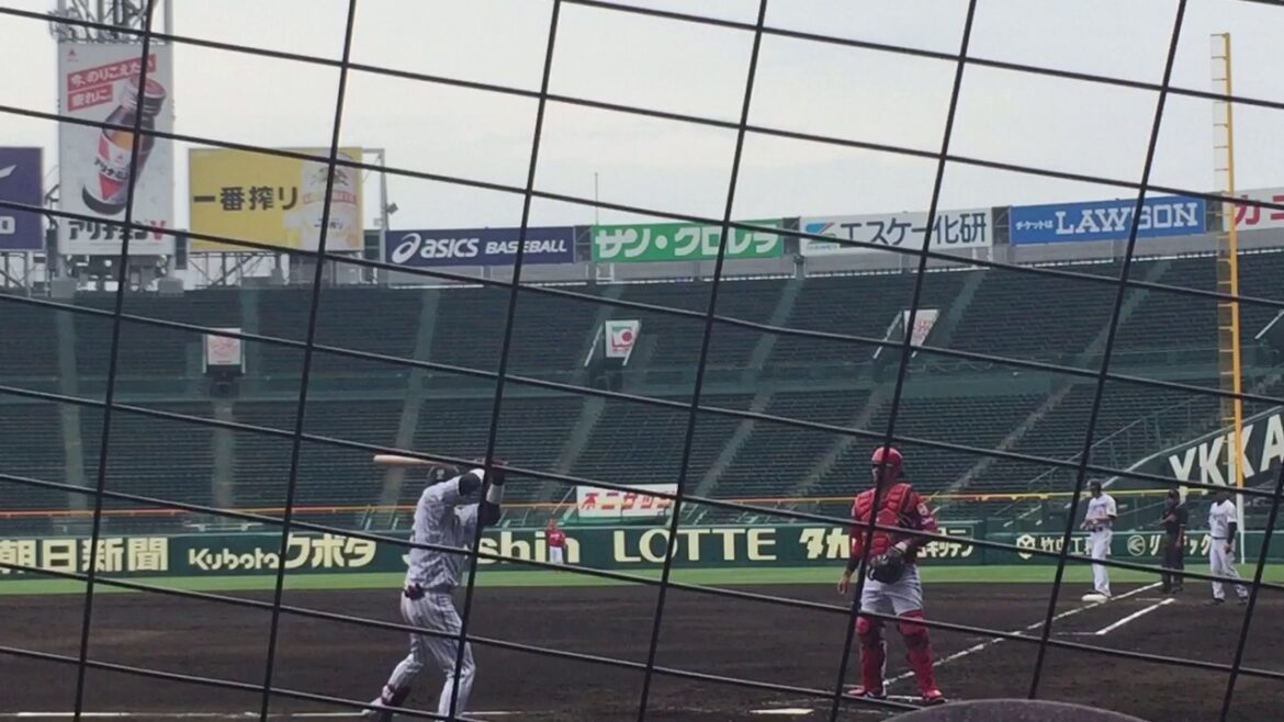 阪神タイガース 陽川尚将 登場曲