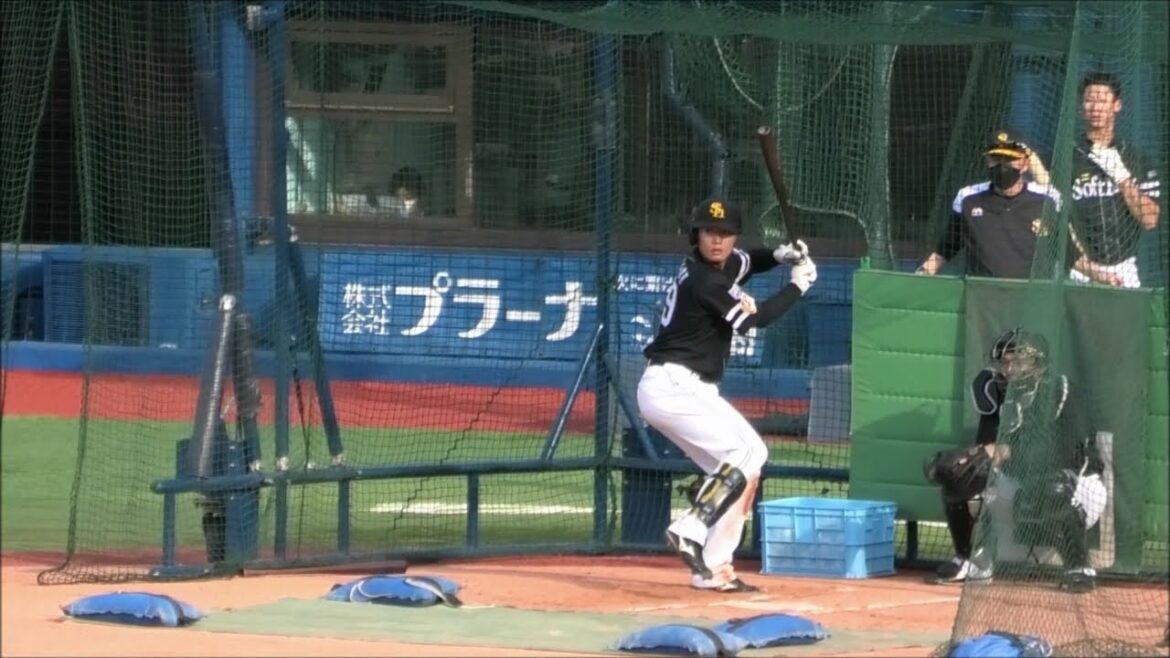 ソフトバンク 渡邉陸 打撃練習～2022.5.25(横浜スタジアム)