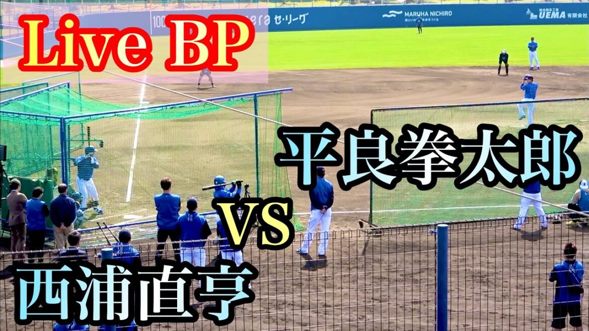 【Live BP】平良拳太郎 vs 西浦直亨、関根大気、オースティン、佐野恵太 横浜DeNAベイスターズ 2024/2/11