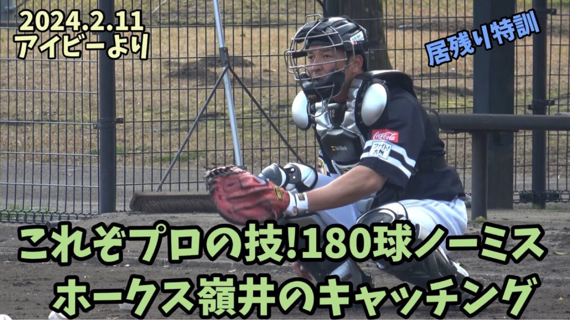 これぞプロ‼️ホークス嶺井博希🌴居残り特訓で180球をノーミスでキャッチング😙グラブさばきがエグすぎるぜ😆ソフトバンクホークスキャンプ宮崎2024🌴2024.2.11