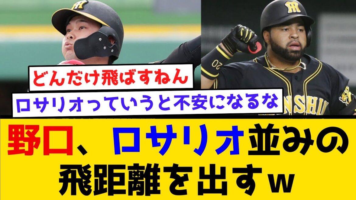 【糸井さん・・・】野口、ロサリオ並みの飛距離を出すｗ　#阪神タイガース  #阪神  #なんj #2ch #まとめ  #キャンプ #ゲラ #バッター