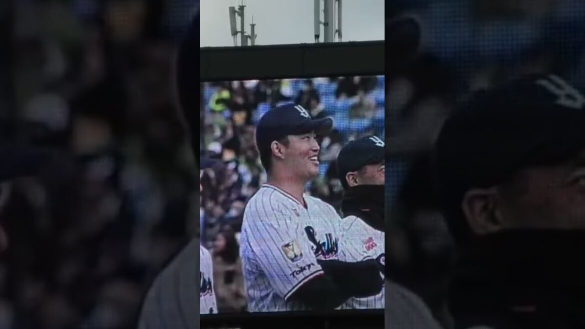 塩見泰隆「来年は三冠王になるため怪我なく頑張ります！」#東京ヤクルトスワローズ #shorts