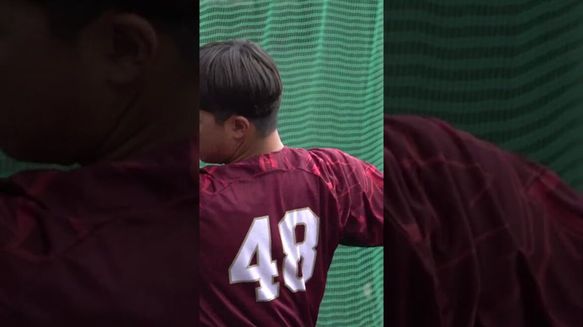 【タイヤはフジスプリングキャンプ2024】2/12ダイジェスト⚾