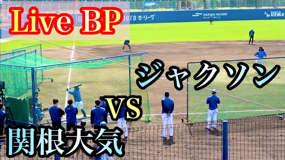 【Live BP】新外国人 ジャクソン vs 関根大気、オースティン、佐野恵太、柴田竜拓 横浜DeNAベイスターズ 2024/2/11