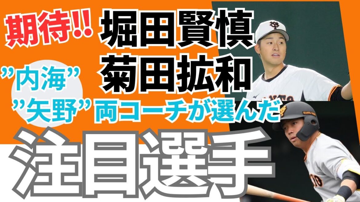 【注目選手！堀田投手、菊田選手！！】内海、矢野の両コーチが選んだ期待の選手！《ファンのコメント》