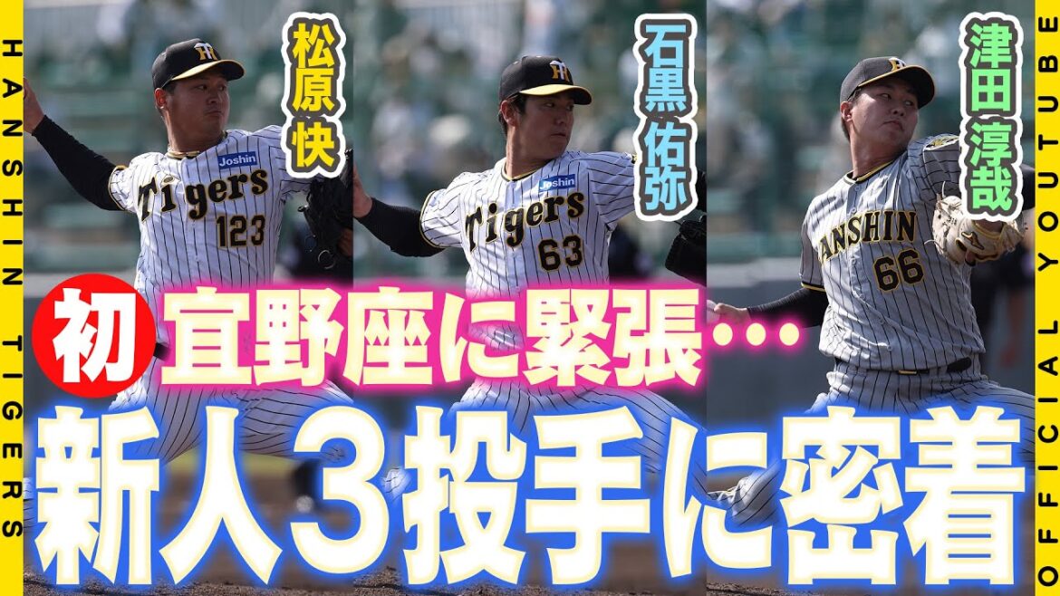 【デビュー】#石黒佑弥 選手#津田淳哉 選手#松原快 選手が宜野座のマウンドへ！！実戦初登板に緊張気味もそれぞれが収穫と課題を得てキャンプ後半戦に臨みます。