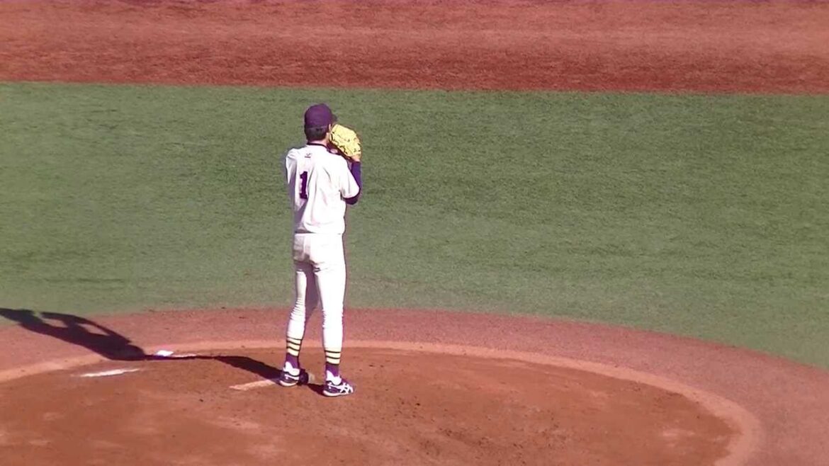 上原健太(明治大学)の投球フォーム 20131119