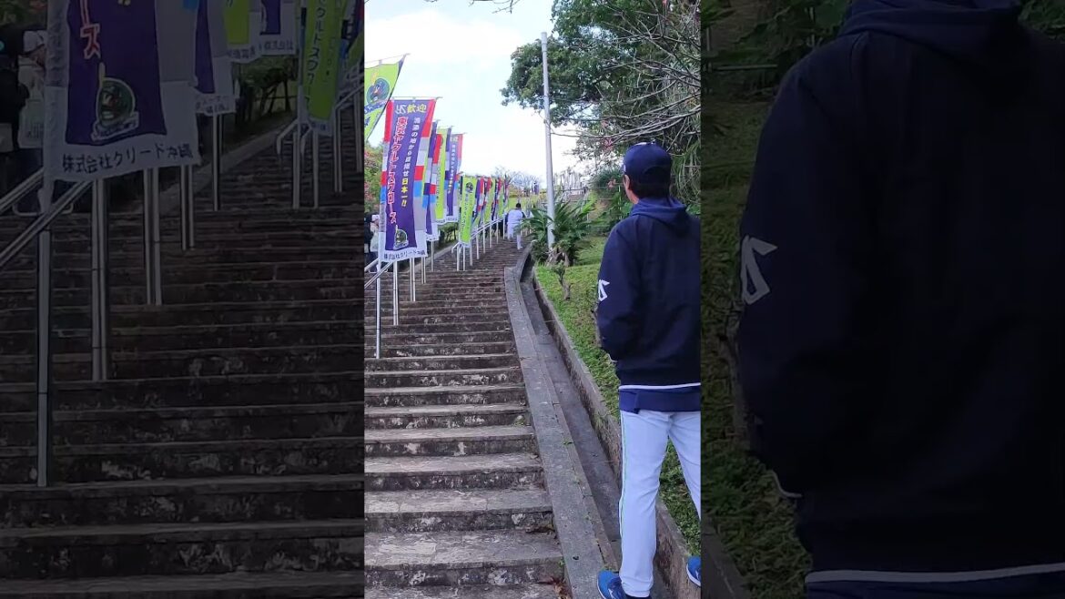 超特急！塩見泰隆選手の階段ダッシュ！  #swallows #プロ野球 #東京ヤクルトスワローズ #shorts #塩見泰隆