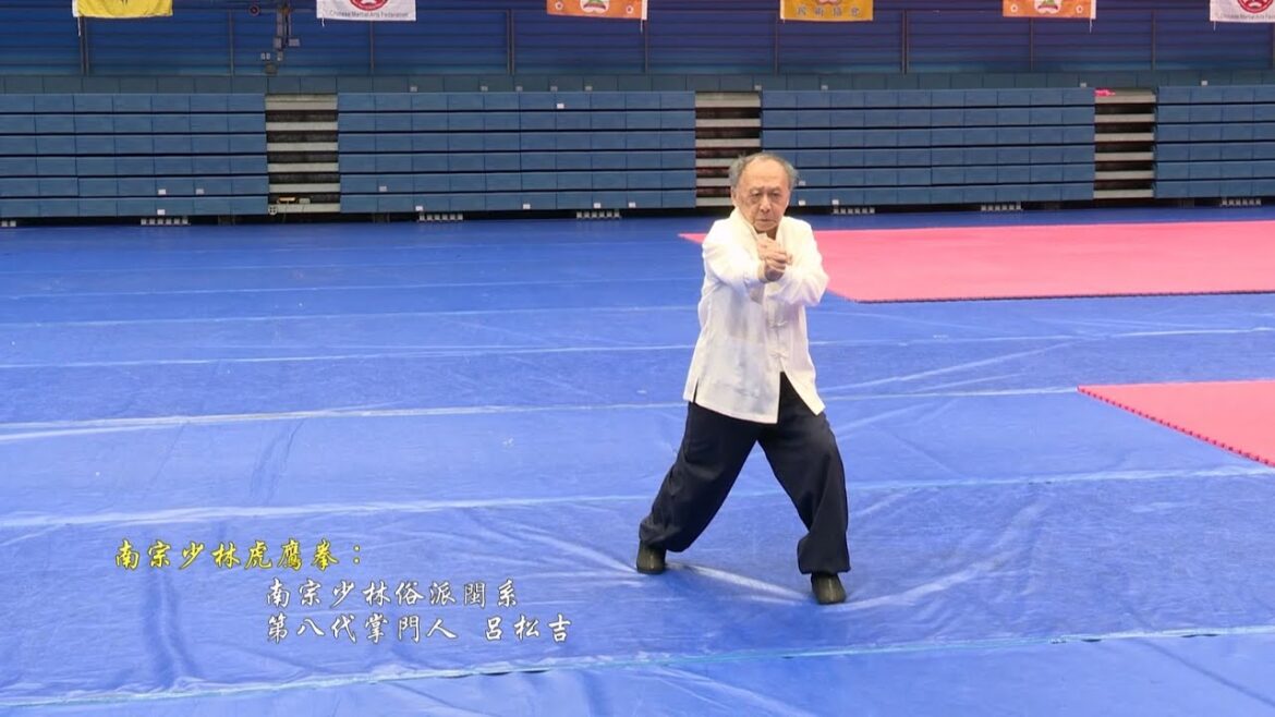 南宗少林虎鷹拳  呂松吉    #南宗少林俗派 #台北市國術會 #中華武術總會 #武園集團