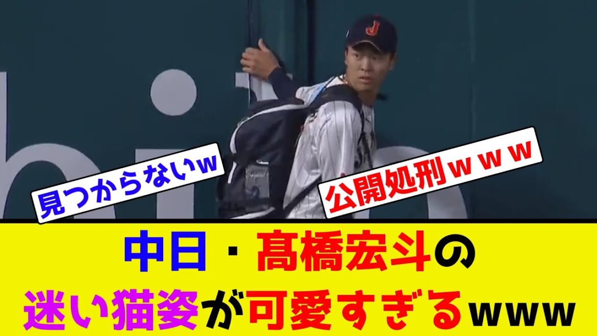 中日・髙橋宏斗の迷い猫姿が可愛すぎるwww【なんJ反応】