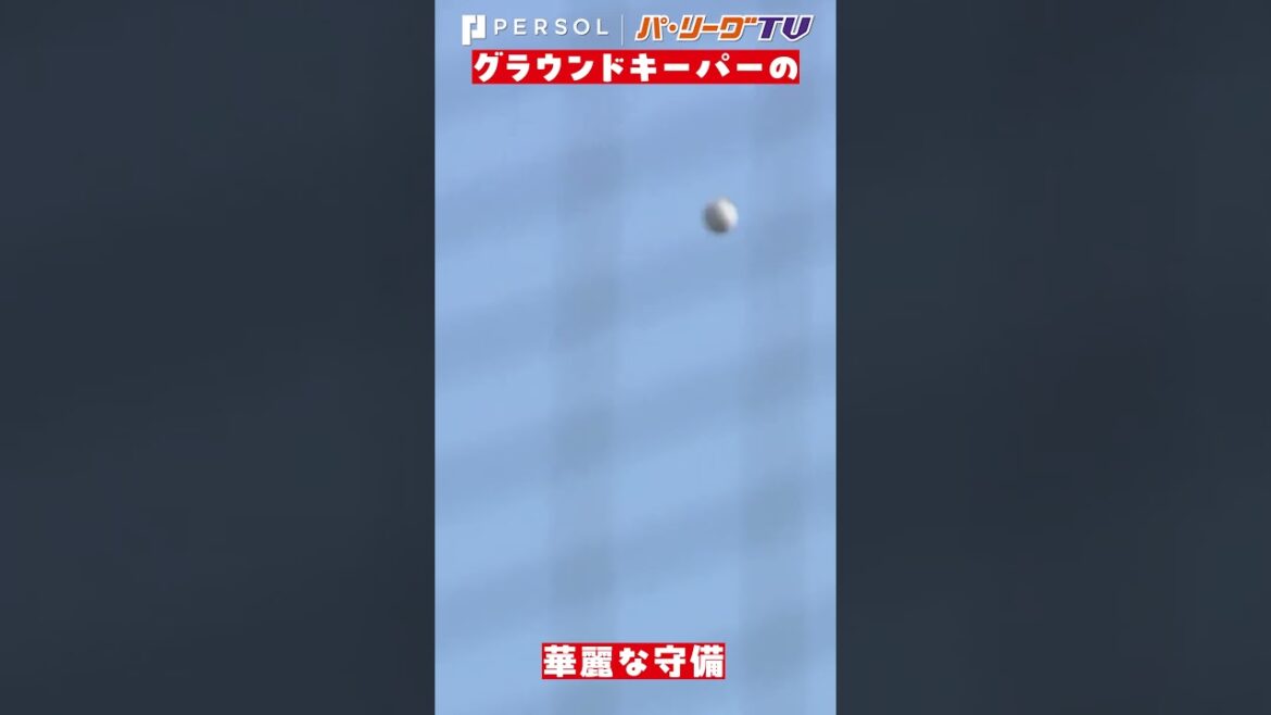 グラウンドキーパーさんの華麗な守備 #shorts