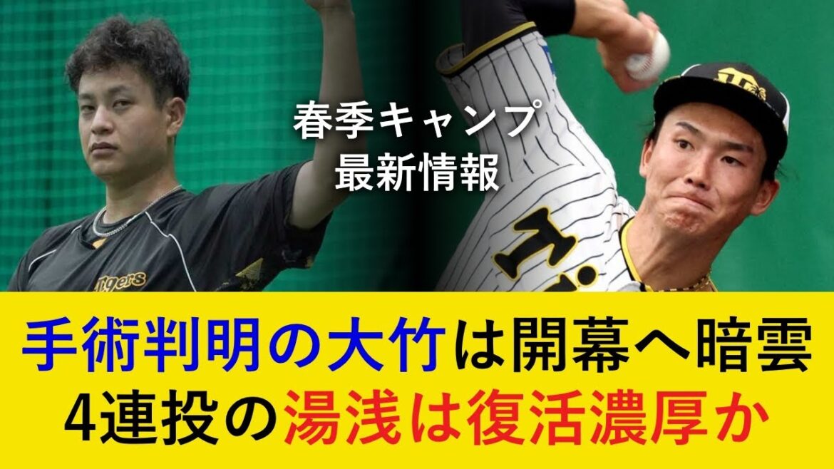 【キャンプ最新情報】ノースローが続く大竹が手術していたと判明…。湯浅は4連投で完全復活へ前進!【阪神タイガース】 【キャンプ最新情報】ノースローが続く大竹が手術していたと判明…。湯浅は4連投で完全復活へ前進!【阪神タイガース】