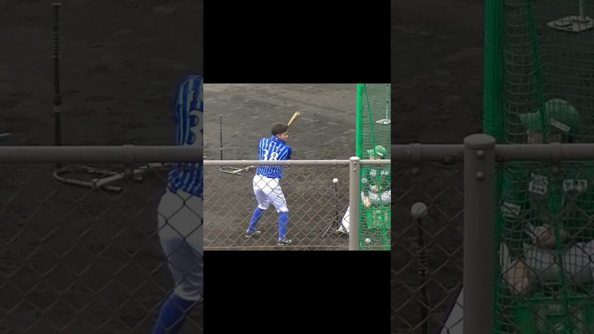横浜DeNA田中俊介 ティーバッティング【プロ野球12球団合同トライアウト2023年11月15日】