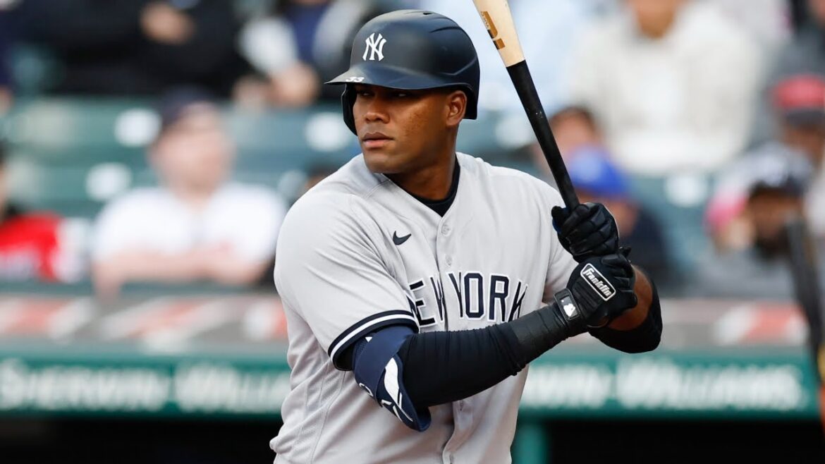 Franchy Cordero 2023 Highlights!