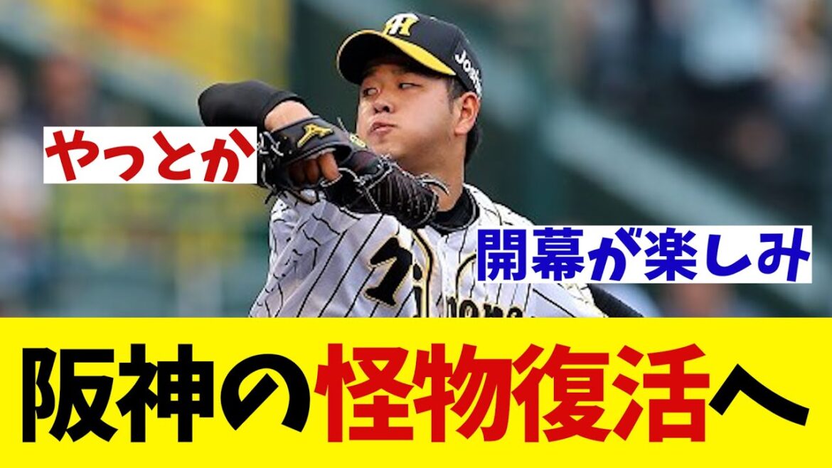 阪神の怪物　高橋遥人がついに復活か・・・！？【野球情報】【2ch 5ch】【なんJ なんG反応】