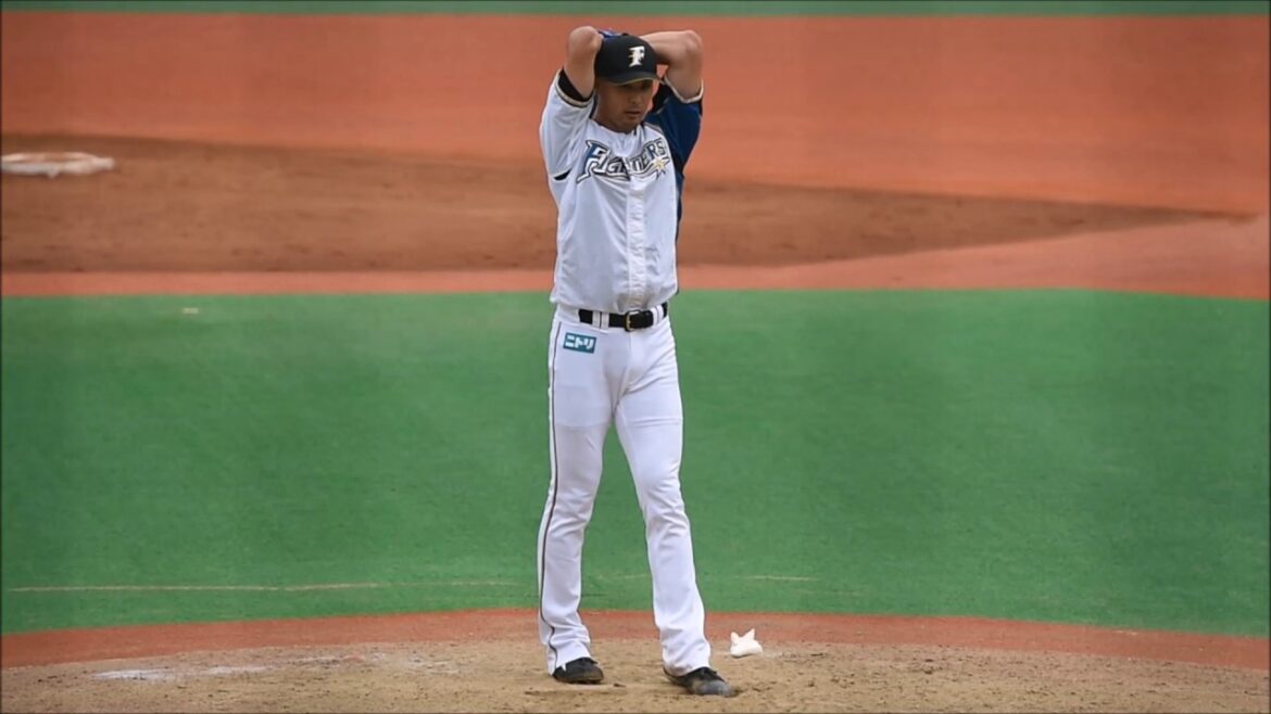 2017/06/22 北海道日本ハムファイターズ・上原健太投手