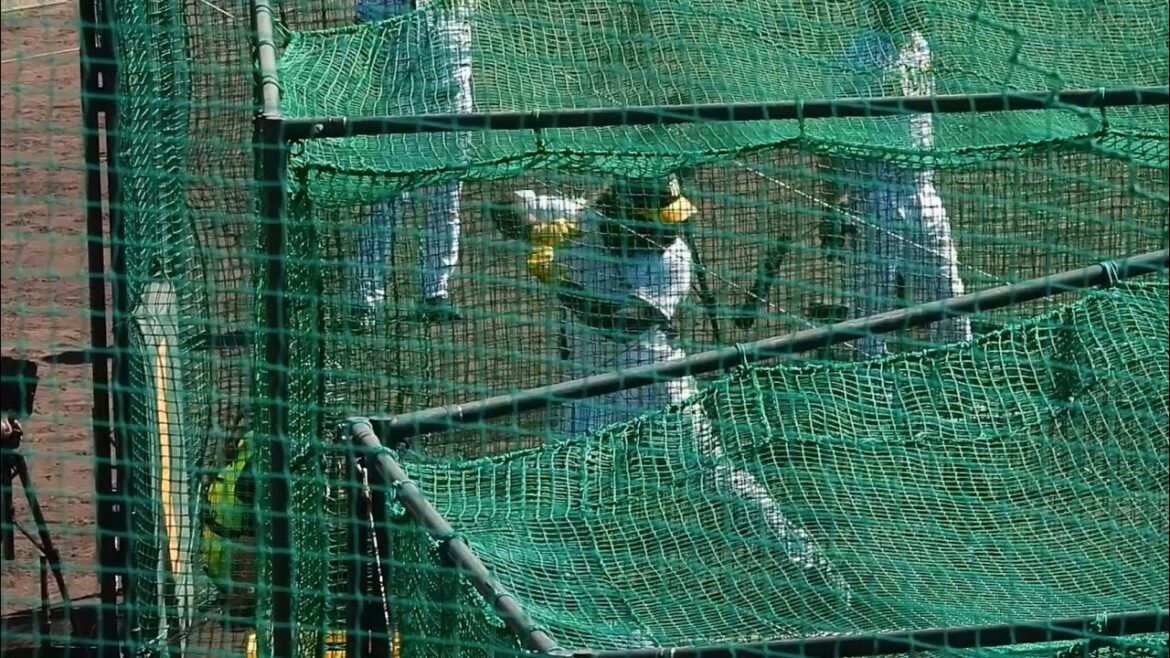 【バレンティン打法】新打法に取り組むミエセスが宜野座キャンプ第1号アーチ！ランチ特打で豪快ホームラン【阪神春季キャンプ】2024.2.1