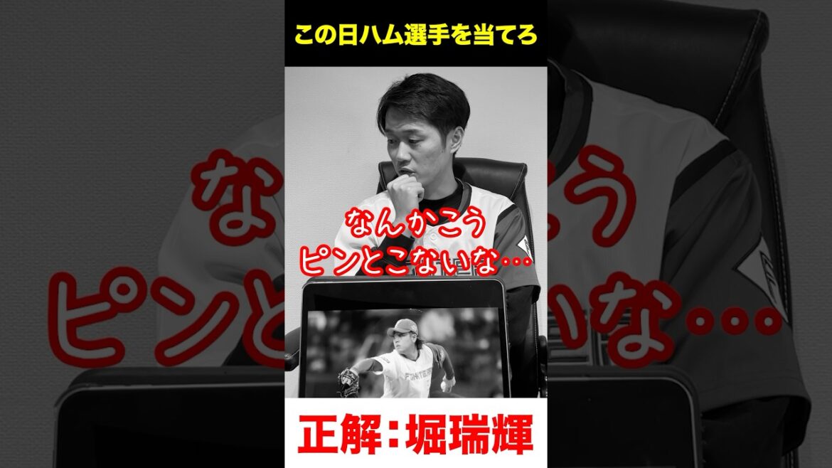 日ハムアキネーター #堀瑞輝 #プロ野球 #アキネーター 日ハムアキネーター #堀瑞輝 #プロ野球 #アキネーター