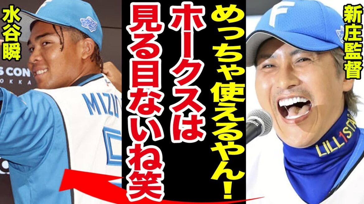 【日ハム】現役ドラフトで加入の水谷瞬が紅白戦で大活躍！覚醒の兆しに新庄監督大喜び！ソフトバンクが光る原石をまたもや手放してしまう事態でヤバい！！【プロ野球】