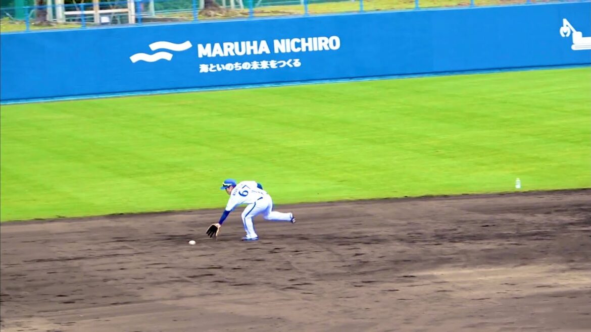 『追うだけなら俺でもできる！ 』ファンの笑いを誘う万永コーチw 横浜DeNAベイスターズ 2024/2/4 林琢真 石上泰輝 京田陽太 西浦直亨 井上絢登牧秀悟 柴田竜拓 知野直人 西巻賢二