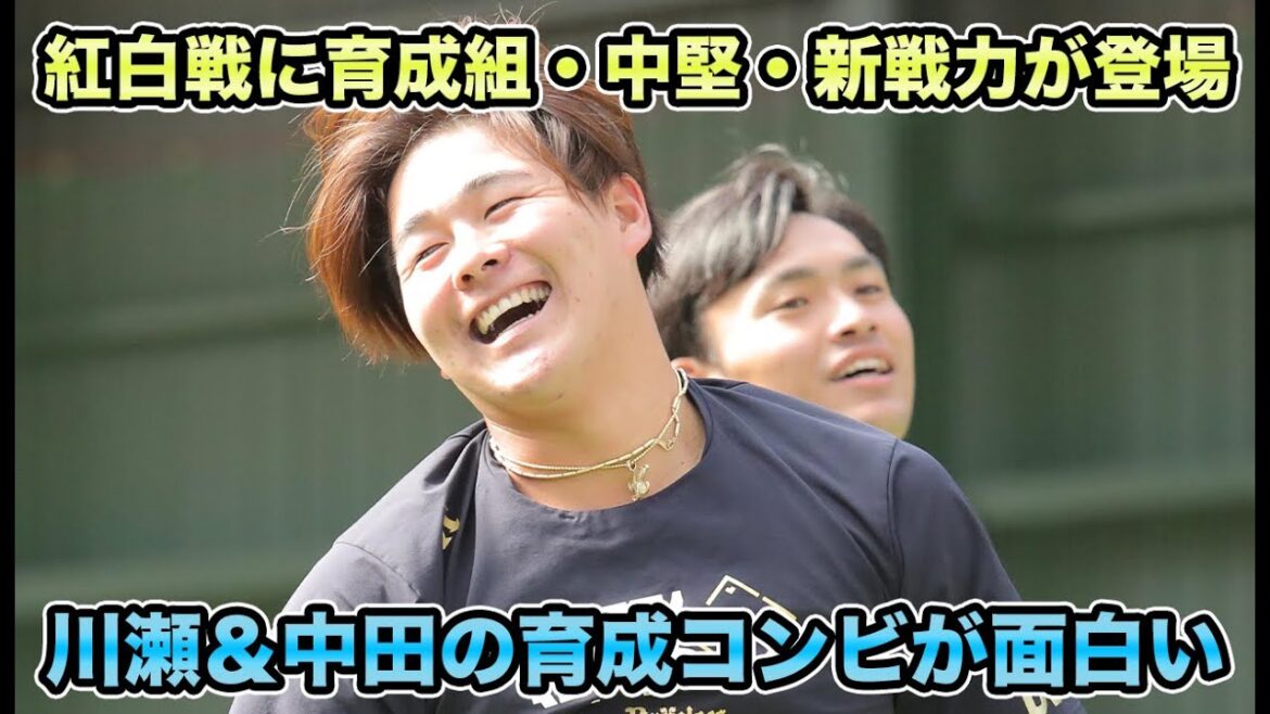 【主力が入って本当の競争】中嶋監督が評価はまだ先と言及するも川瀬&中田らが面白い!! 育成組・中堅・新戦力が登板した紅白戦について【オリックスバファローズ】