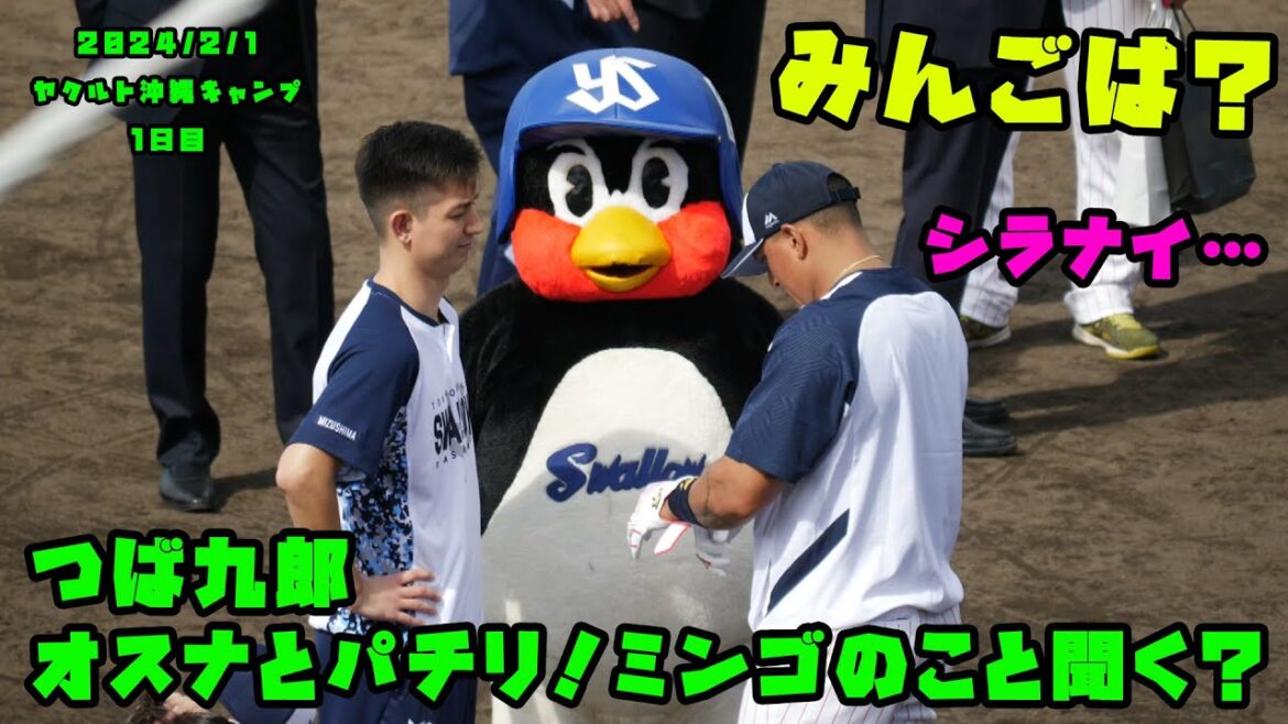 つば九郎 オスナとパチリ!サンタナ選手は1週間遅れ? 2024/2/1 ヤクルト沖縄キャンプ1日目 つば九郎 オスナとパチリ!サンタナ選手は1週間遅れ? 2024/2/1 ヤクルト沖縄キャンプ1日目