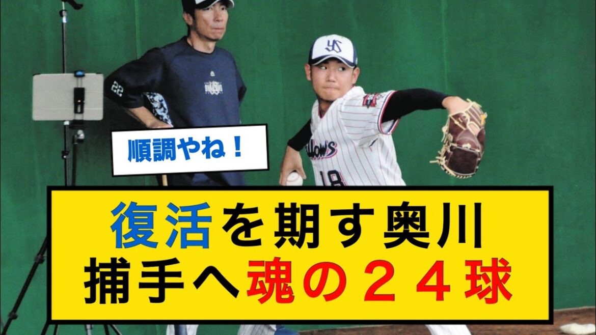 【キャンプ情報】復活を期すヤクルト奥川、捕手へ魂の２４球投げ込む【なんJプロ野球反応】 #ヤクルトスワローズ #奥川恭伸