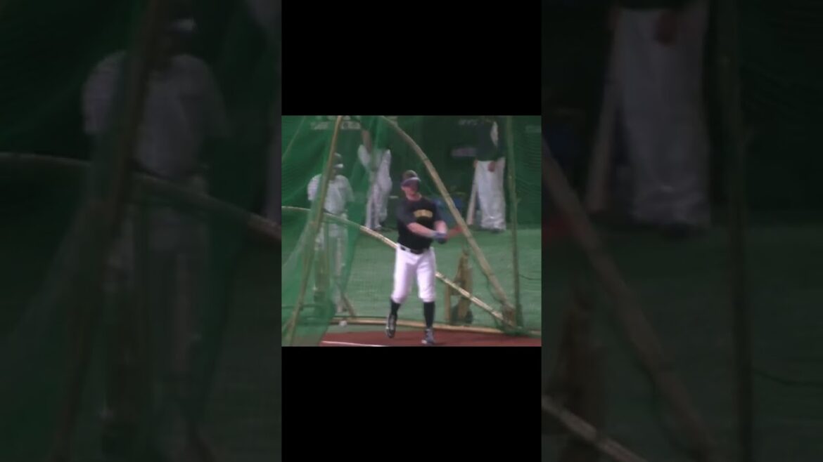 サンズのバッティング練習～阪神タイガースIN東京ドーム2020年9月17日