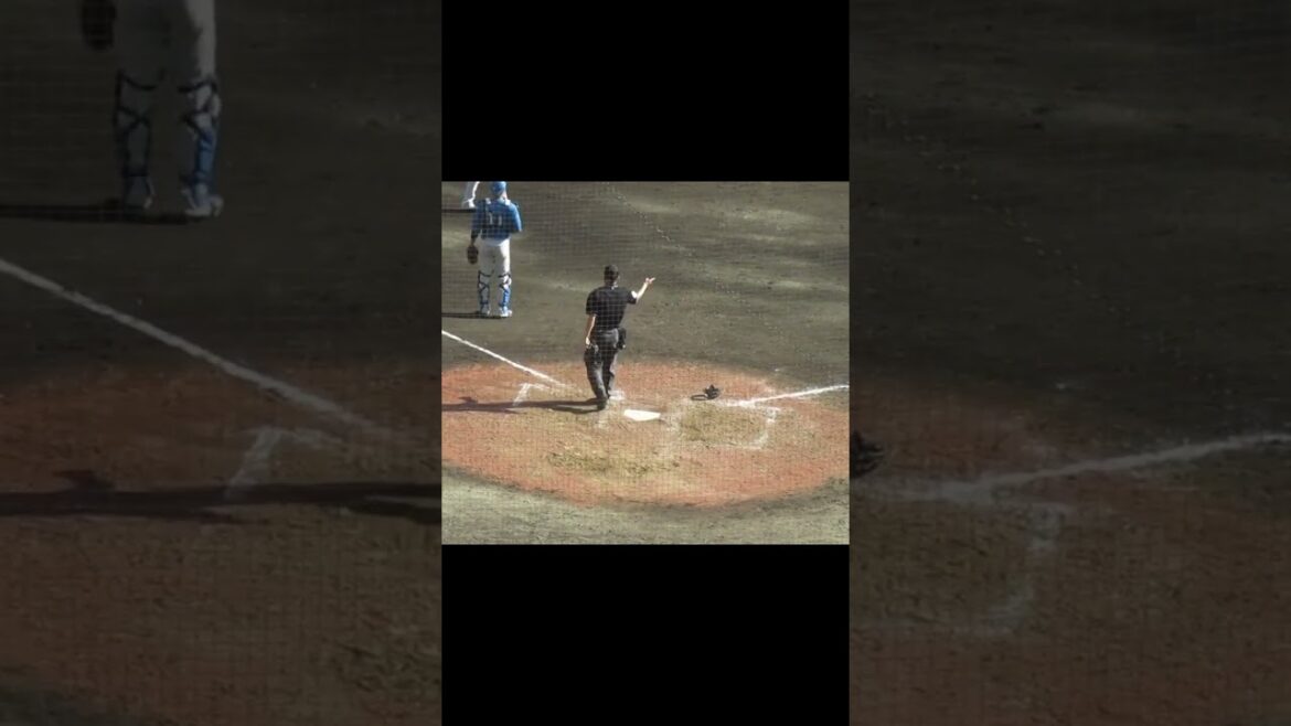 松原聖弥フルスイングでキャッチャー前に 〜2022/2/15巨人日ハム戦