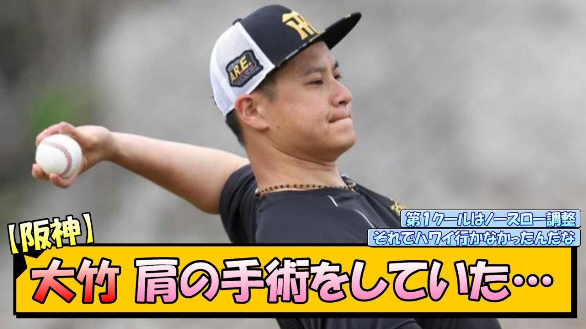 阪神・大竹 肩の手術をしていた…【なんJ 反応 まとめ】 阪神・大竹 肩の手術をしていた…【なんJ 反応 まとめ】