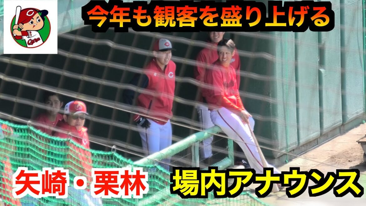 【2024カープ春季キャンプ紅白戦】今年も観客を盛り上げる!場内アナウンスは矢崎と栗林!「野球一筋中村奨成」 【2024カープ春季キャンプ紅白戦】今年も観客を盛り上げる!場内アナウンスは矢崎と栗林!「野球一筋中村奨成」