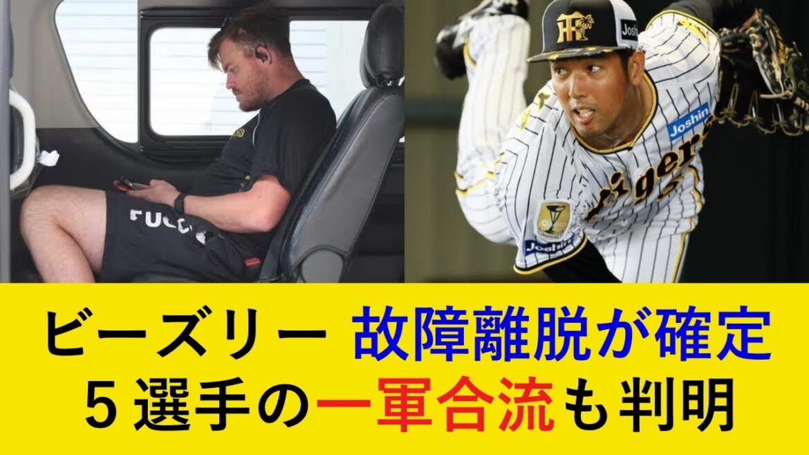 【西勇輝は軽傷の模様】ビーズリーが右肩の張りで離脱決定…。5選手の昇格が決定した入れ替え最新情報も！【阪神タイガース】