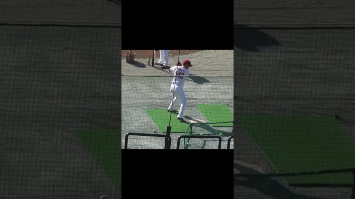 楽天マーキ トライアウトに向け素振りを続けるトスバッティング【合同トライアウト2022年11月8日】