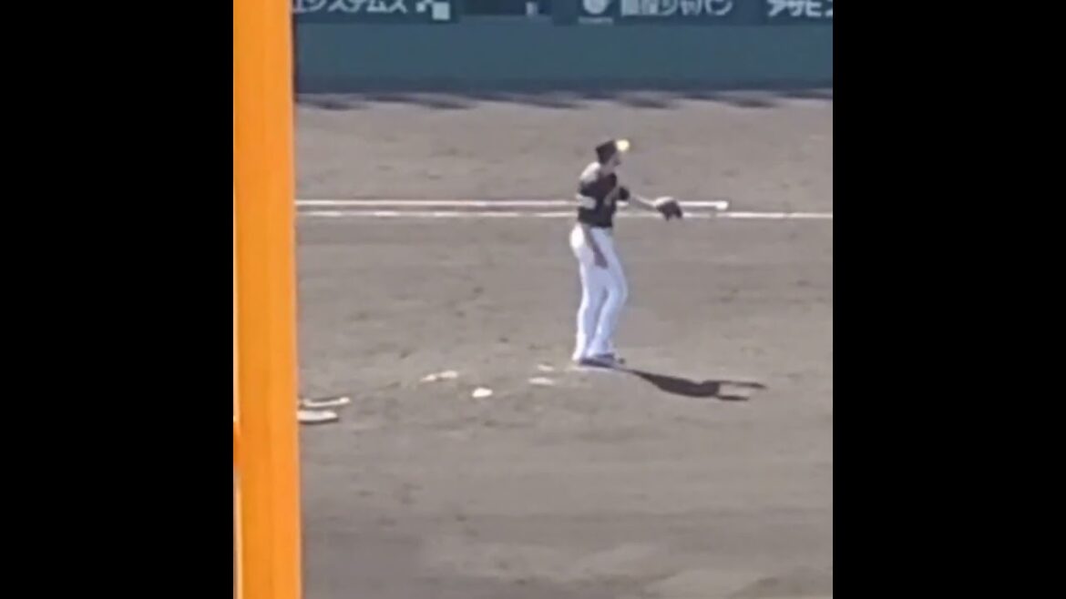 20230617　ｶﾞﾝｹﾙ先生の投球練習　#shorts　福岡ｿﾌﾄﾊﾞﾝｸﾎｰｸｽ　ｼﾞｮｰ･ｶﾞﾝｹﾙ　投球ﾌｫｰﾑ@阪神甲子園球場･ﾚﾌﾄ外野 日本生命ｾ･ﾊﾟ交流戦