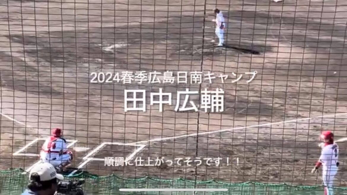 シート打撃に登場田中広輔！！マルチ安打で順調に仕上がってそうです！！【2024.2.12春季日南キャンプ第3クール3日目】#広島カープ#2024春季日南キャンプ#天福球場#田中広輔
