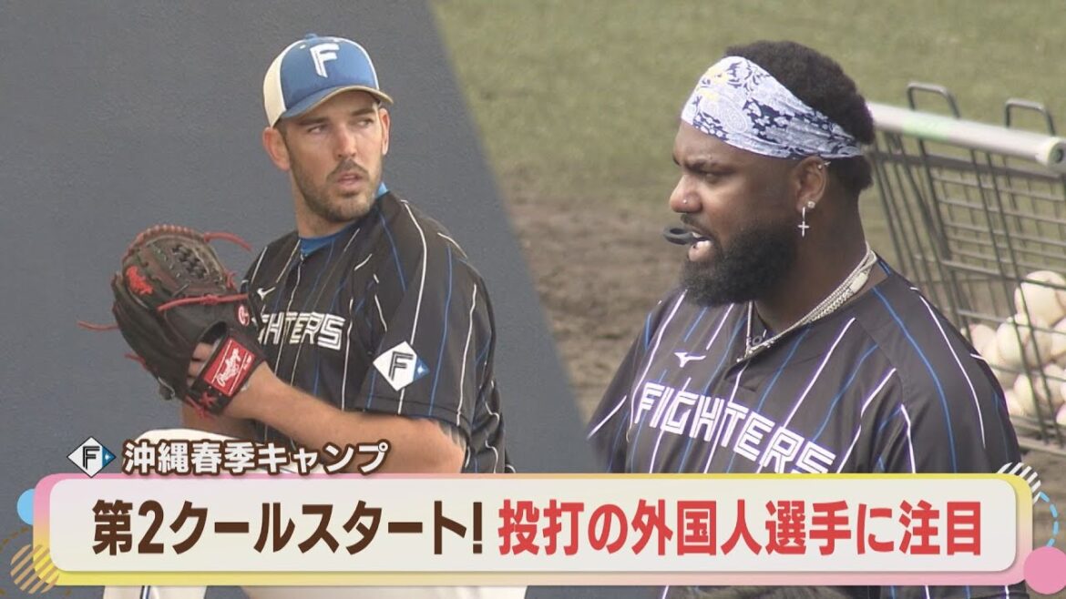 【ファイターズ】沖縄春季キャンプ第2クールスタート！投打の外国人選手に注目