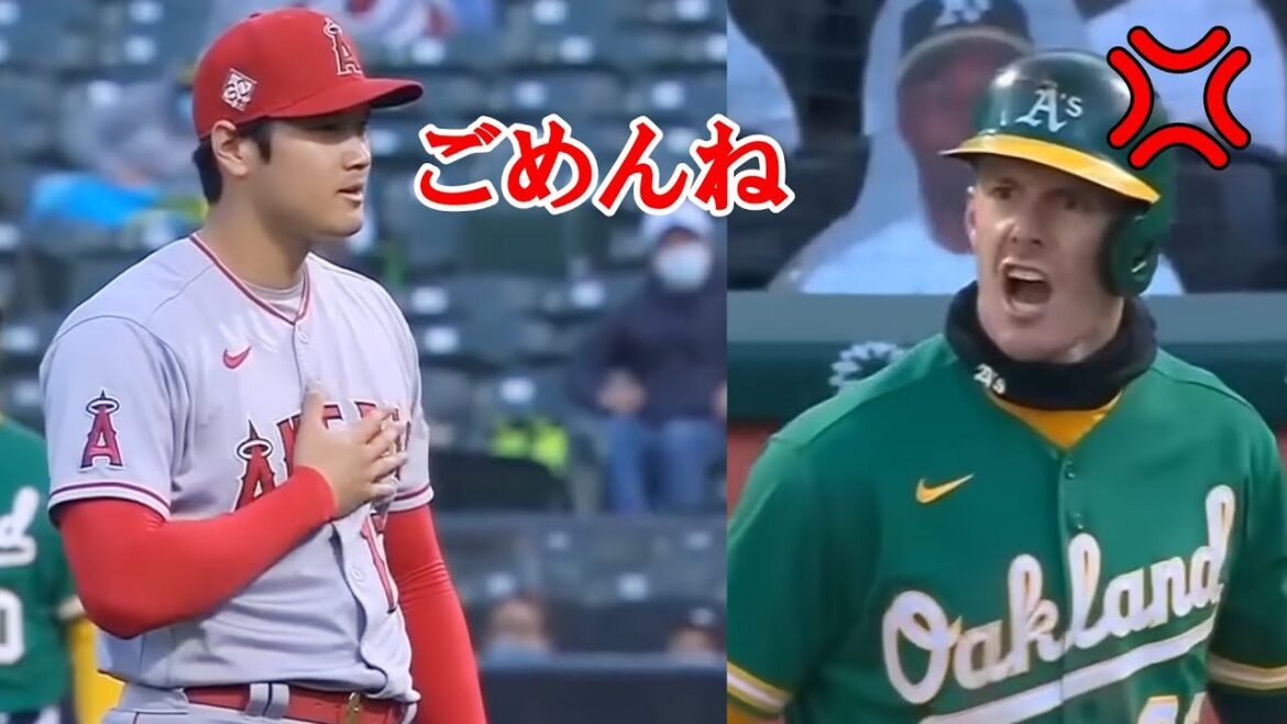【スポーツマンシップ】謝罪する人たち まとめ【MLB】