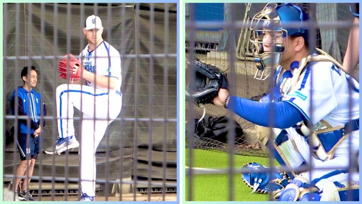 新外国人 ウィックのブルペンでの投球と受ける髙城俊人 横浜DeNAベイスターズ 2024/2/10