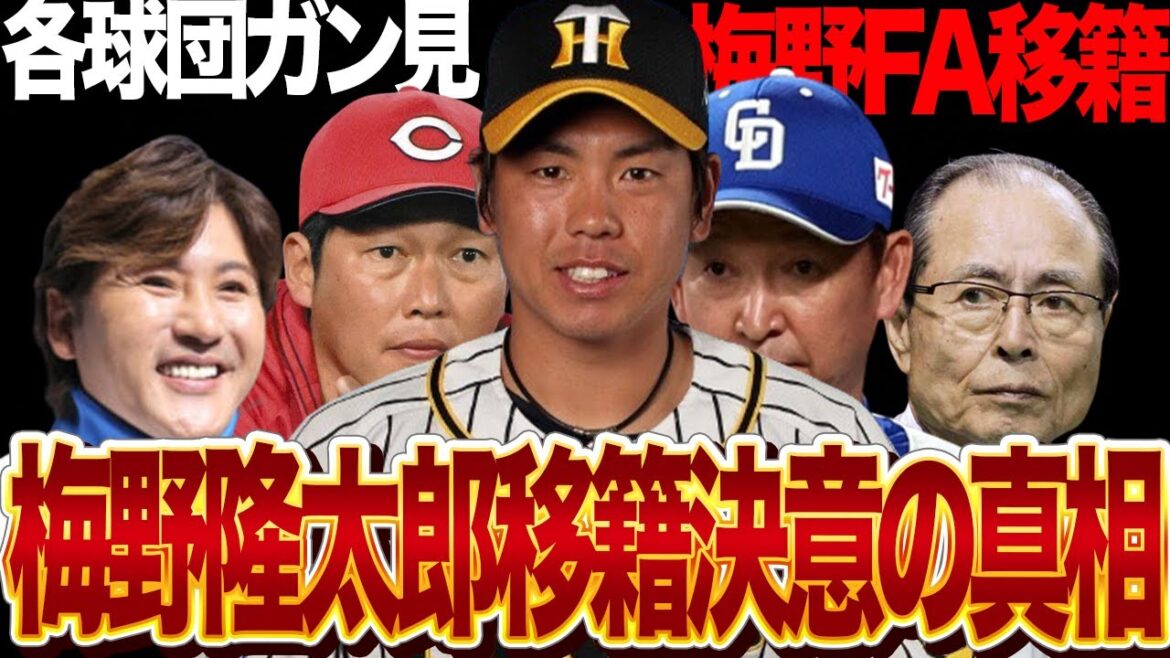 梅野隆太郎が来季移籍を決意の真相に驚愕…各球団が血眼になって阪神の正捕手をガン見状態、タイガースでの居場所を失いつつある選手が決断をしたと言われる舞台裏に衝撃【プロ野球】