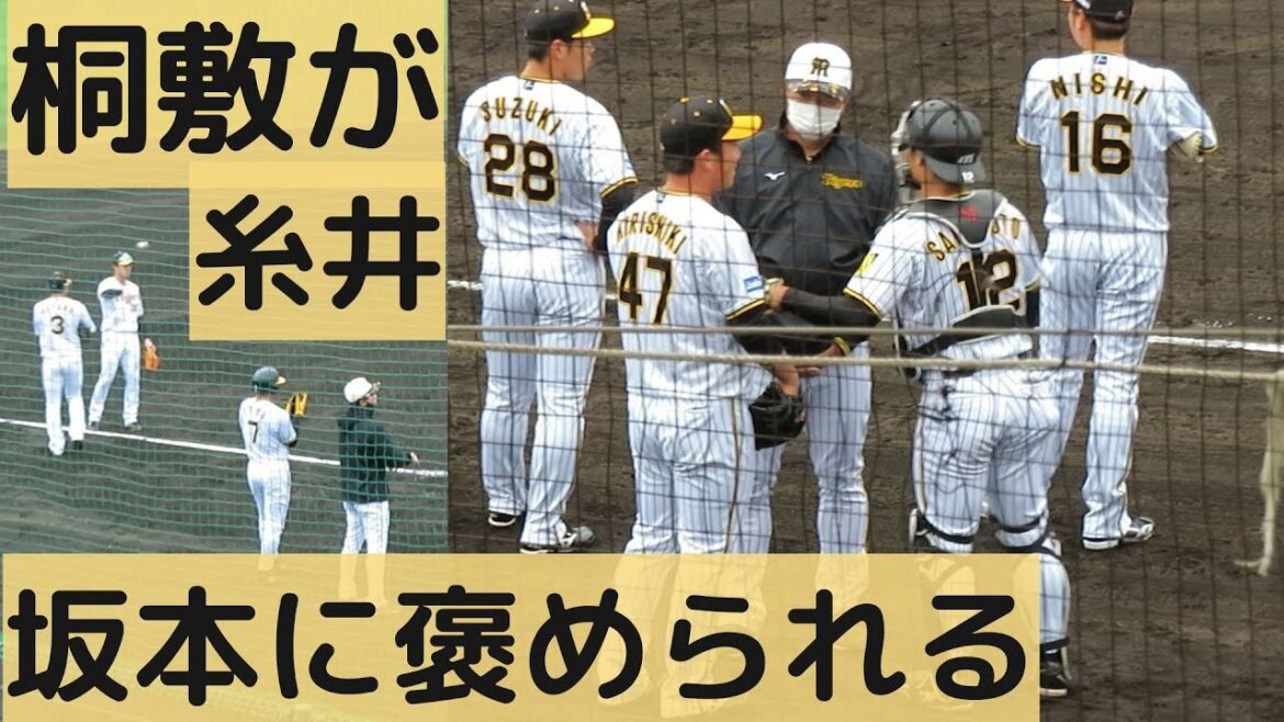 桐敷は愛されキャラ😊糸井、坂本誠志郎捕手に褒められる光景がほほえましい❗️